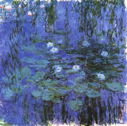 Blue Water Lilies